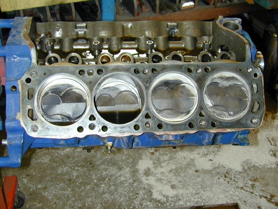DSCN1255.jpg