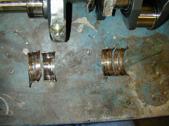 DSCN1259.jpg