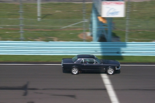 P0000850.jpg